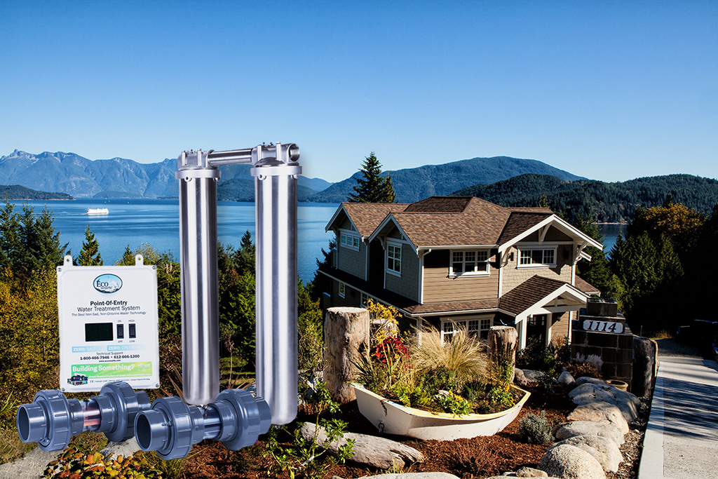 ECOsmarte Lake Home Dual Tank Stainless Steel Zero Backwash System and Lake Home